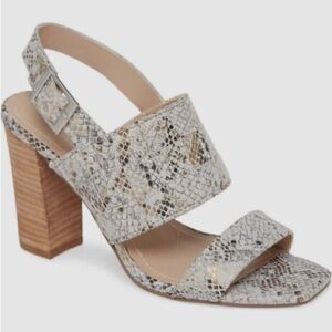 (T) Charles by Charles David City‎ Sand Reptile Print Block Heel Pumps, Size 8 M